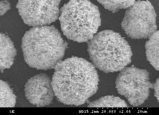 Synthesis method of ball-flower shaped structure ZnO/ZnWO4 photocatalyst