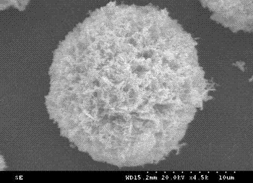 Synthesis method of ball-flower shaped structure ZnO/ZnWO4 photocatalyst