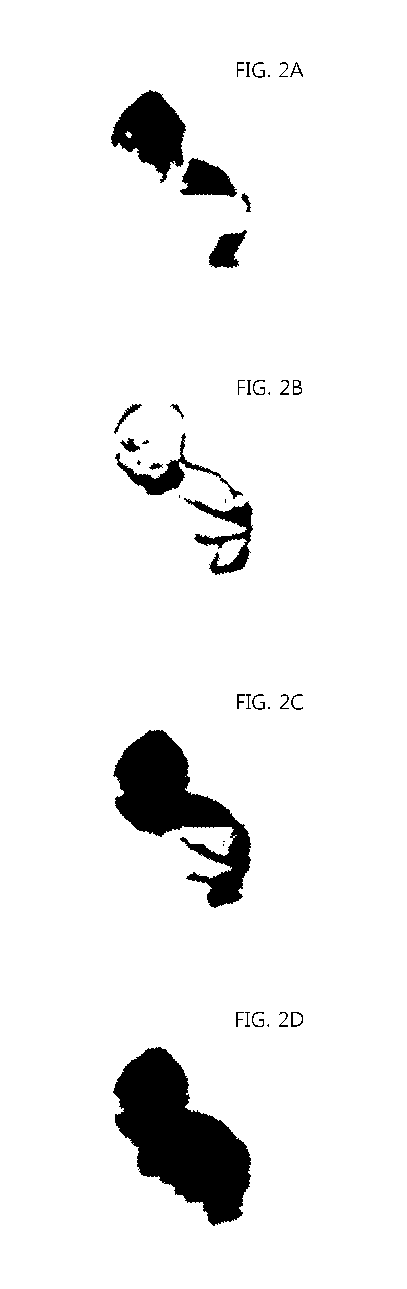 People detection apparatus and method and people counting apparatus and method