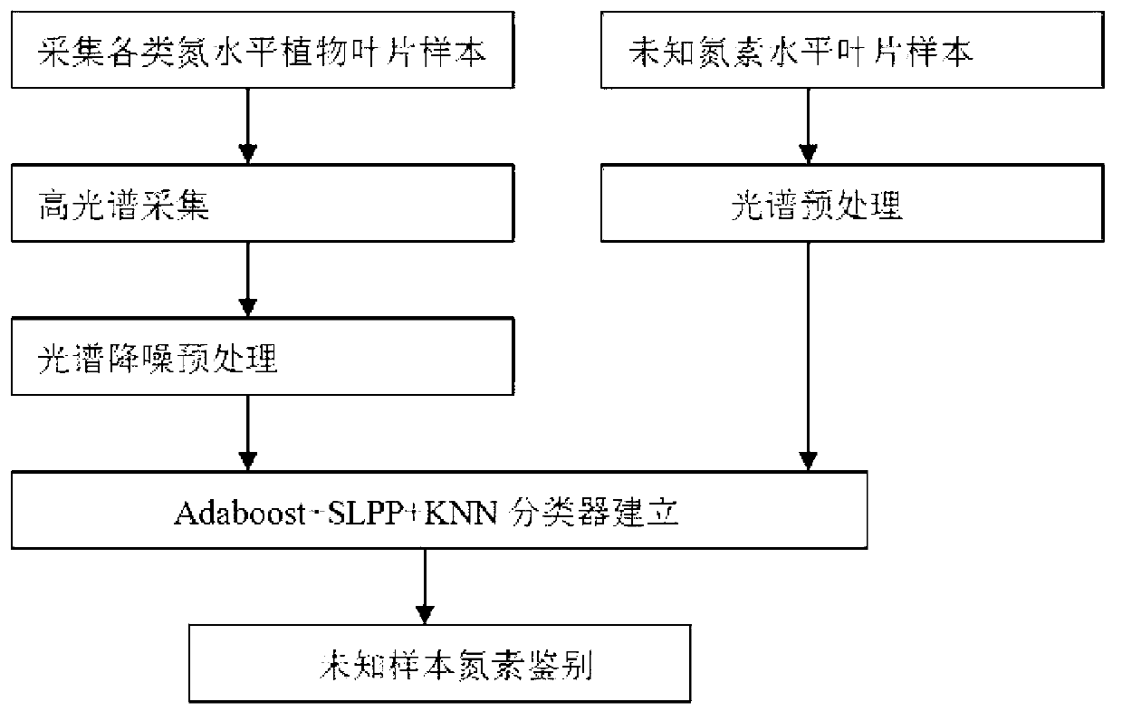 Rapid nondestructive high-accuracy method with for identifying abundance degree of nitrogen element in plant leaf