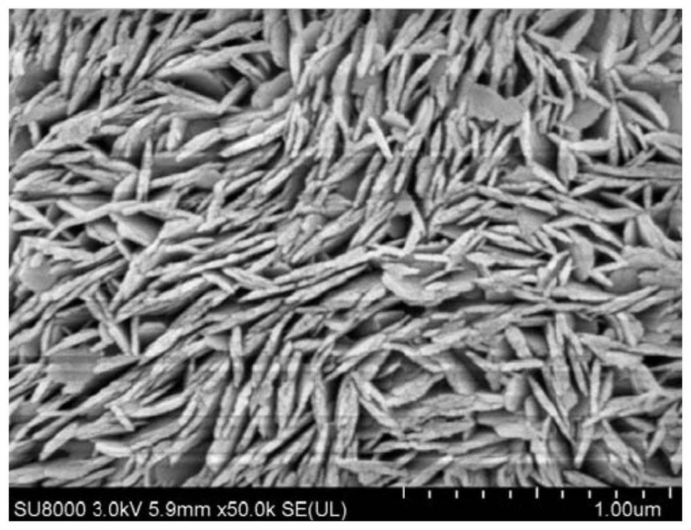 A highly radial, highly compacted nickel-cobalt-lithium aluminate precursor and preparation method thereof