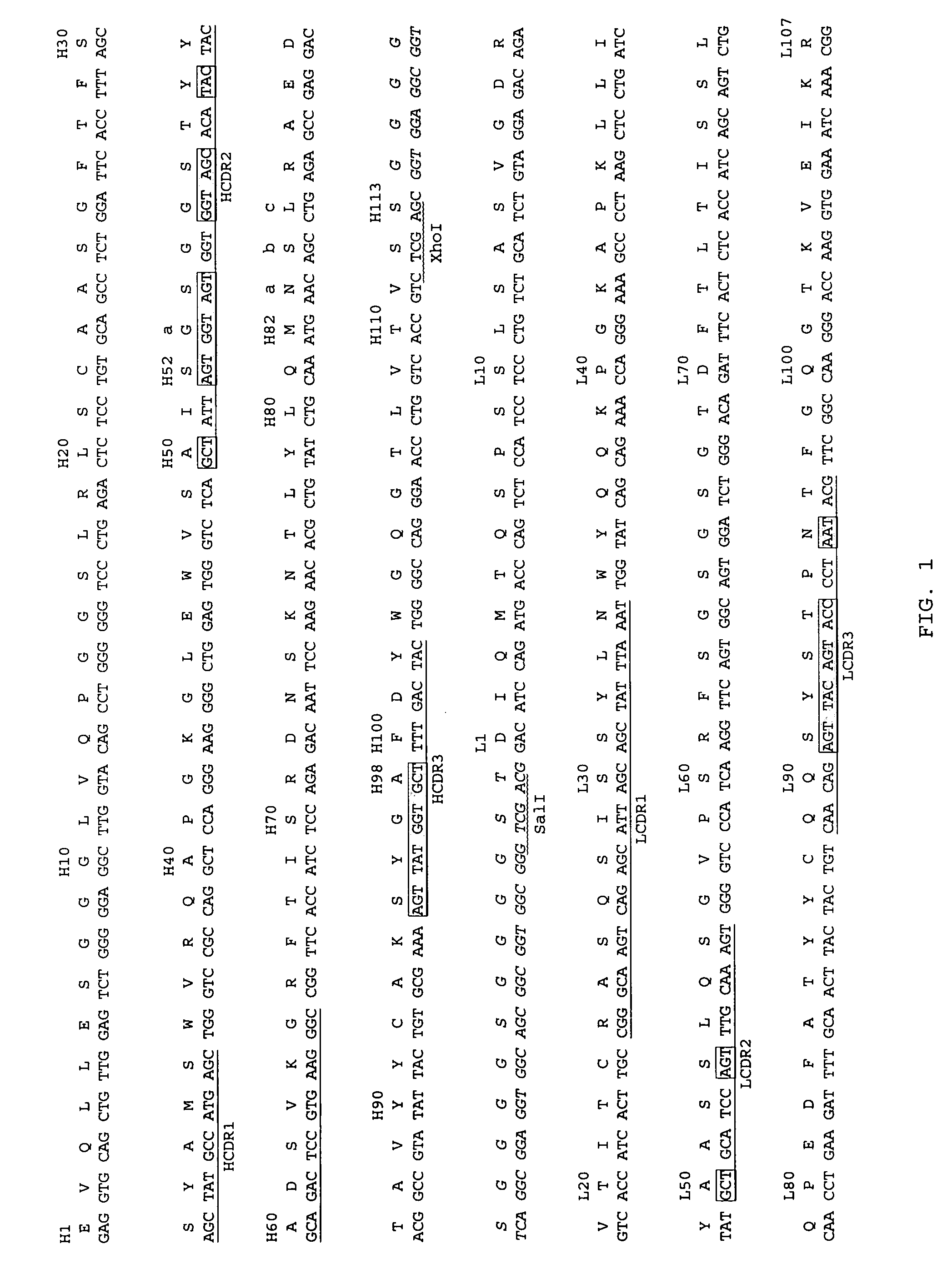 Ligands that bind a receptor