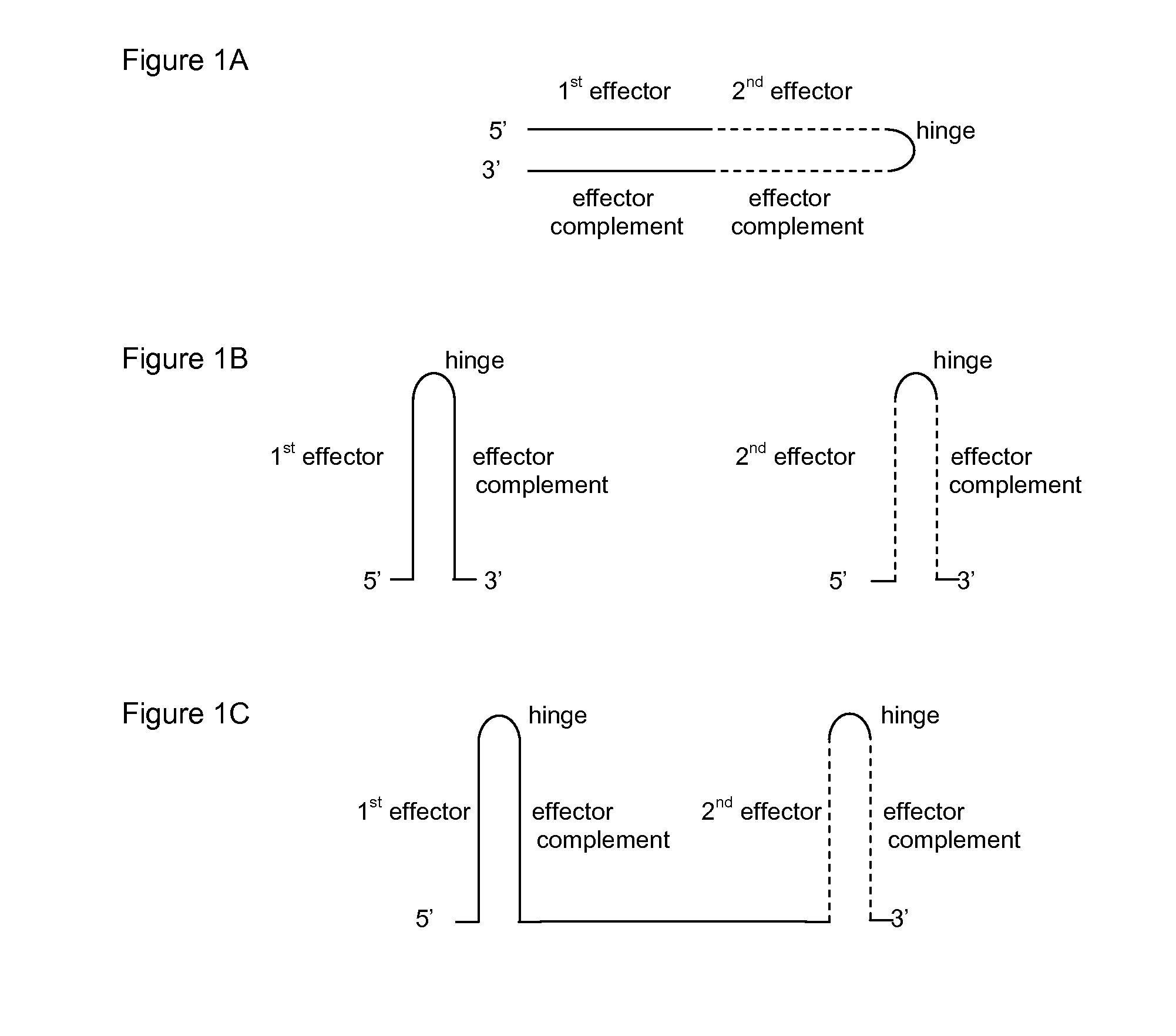 Hbv treatment