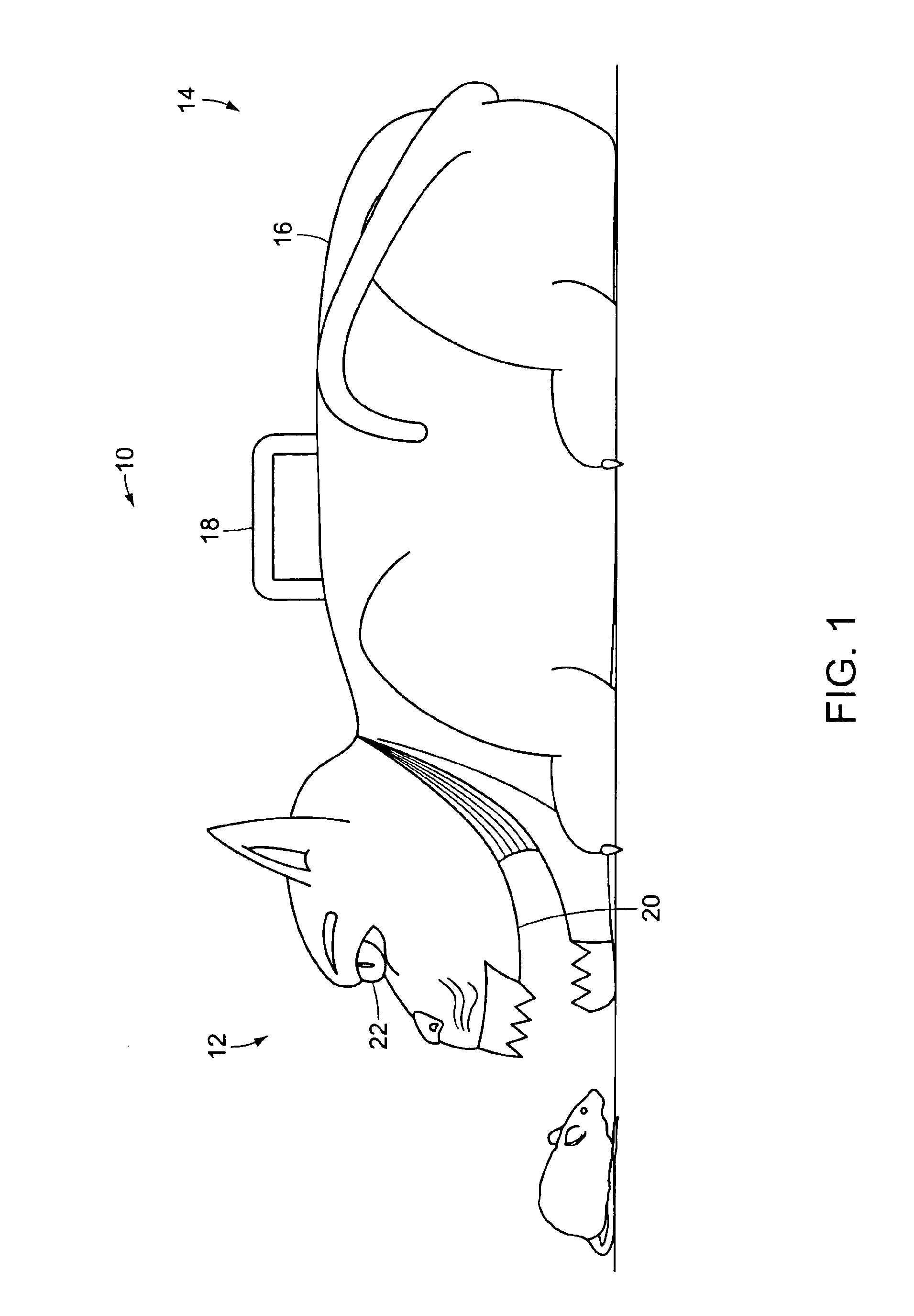 Portable electrical mouse trap