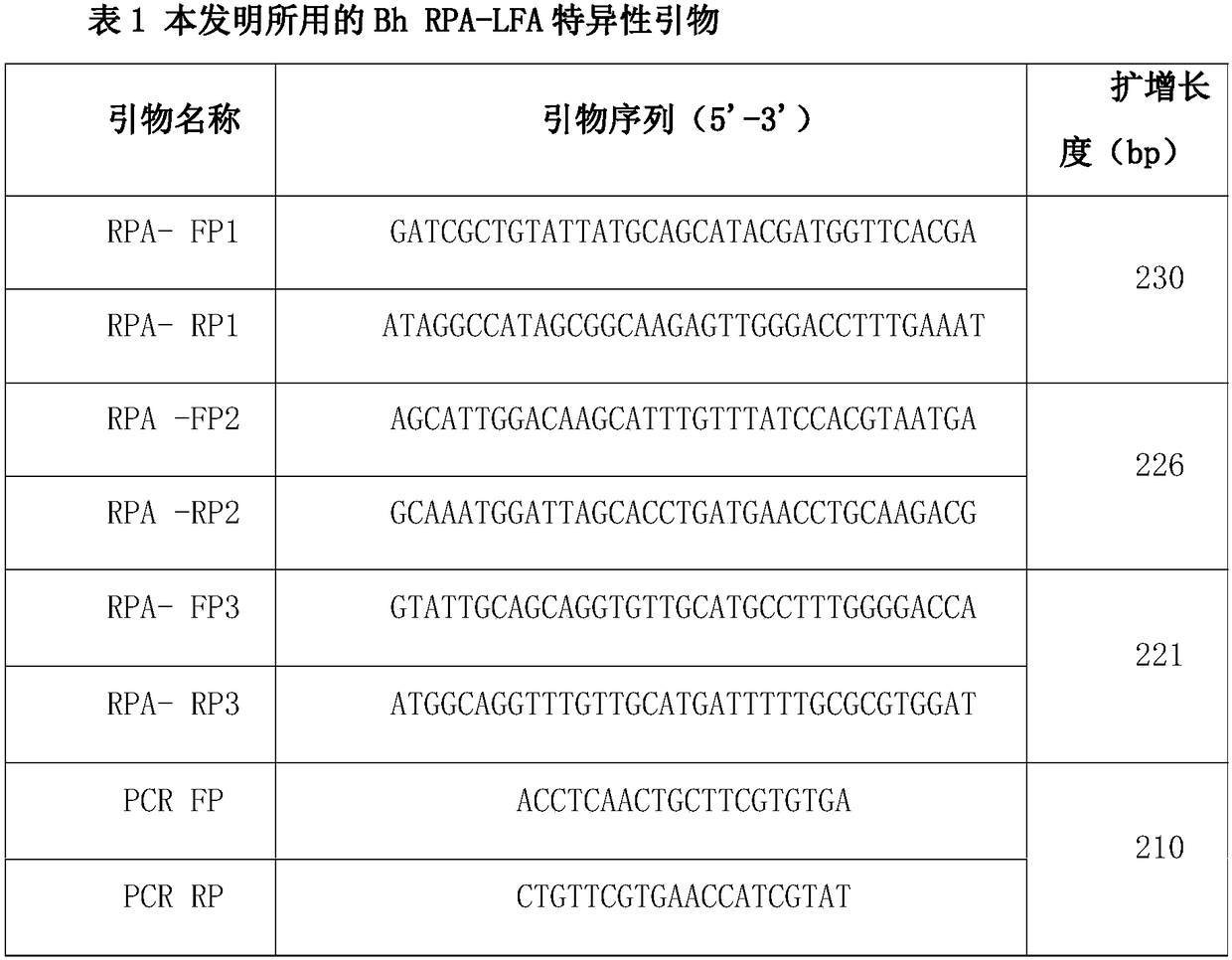 Primers for rapidly detecting Bartonella henselae, preparation method and kit