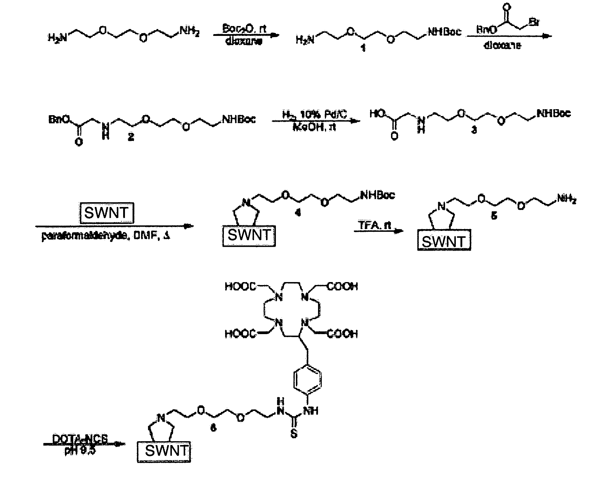 Single wall nanotube constructs and uses therefor