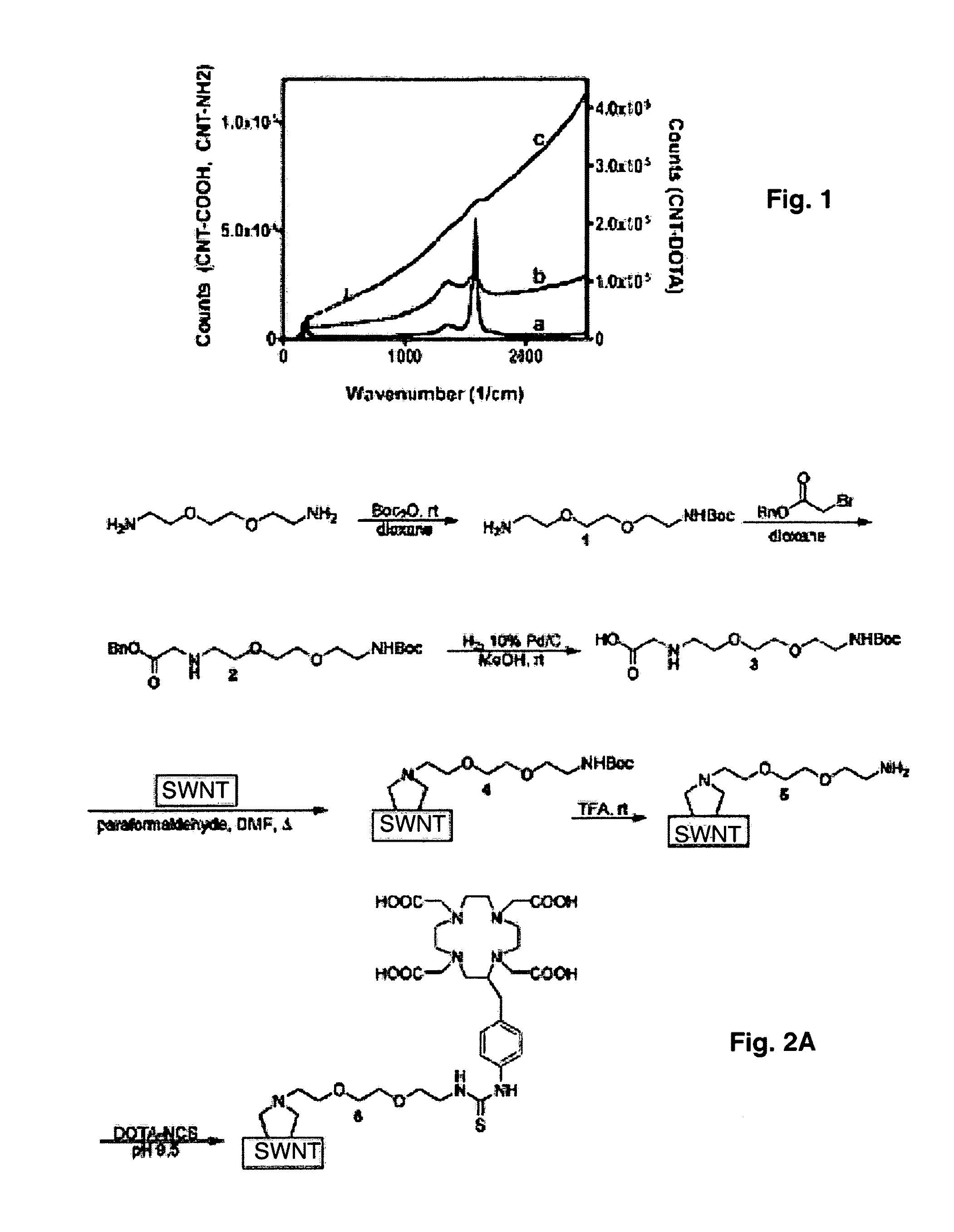 Single wall nanotube constructs and uses therefor