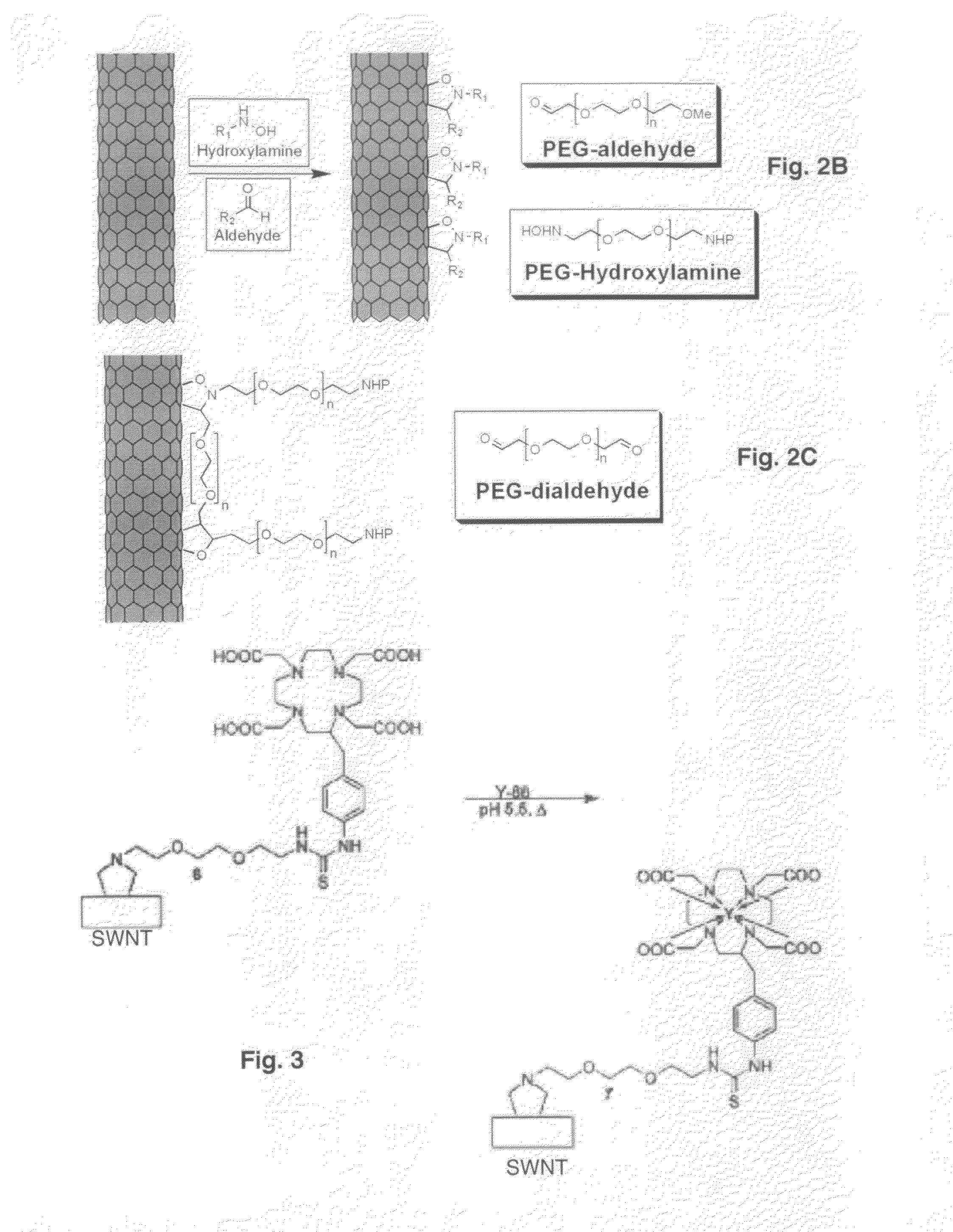 Single wall nanotube constructs and uses therefor