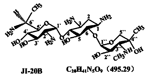 Gentamycin JI-20B gene engineering bacterium, and construction and application thereof