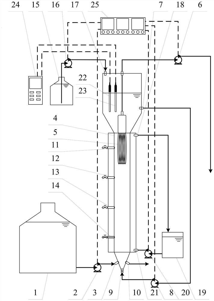 Device and method for improving salt impact resistance of anaerobic ammonia oxidation particle system based on quorum sensing effect