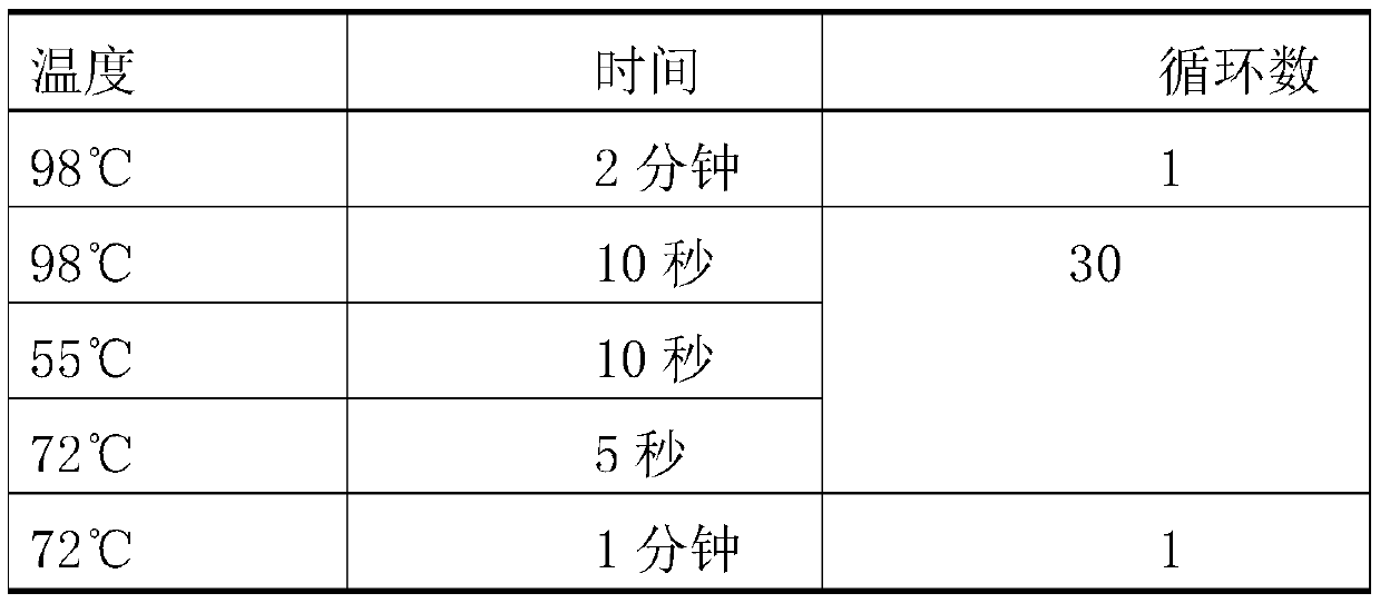 Identification method for identifying PGC transplantation offspring chickens by feather color in combination with molecular genetic markers