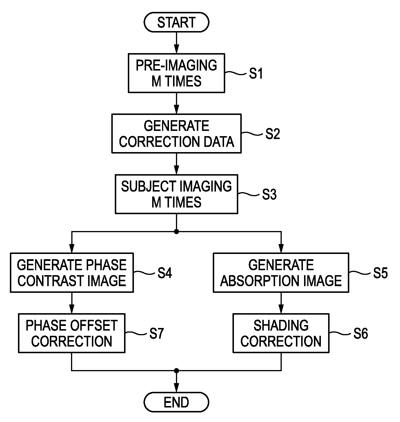 Radiographic system and radiographic image generating method