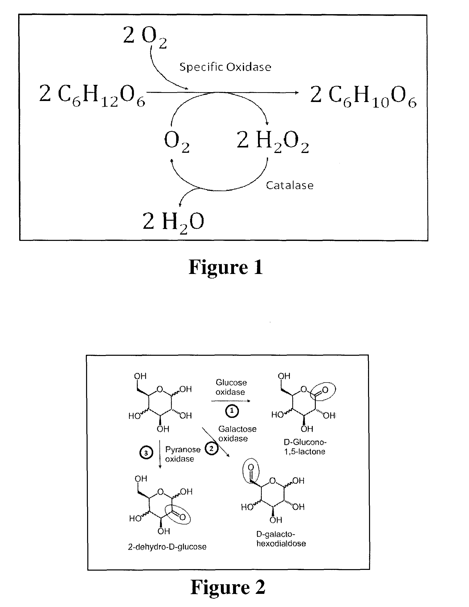 Systems and methods for enzymatic oxygen removal