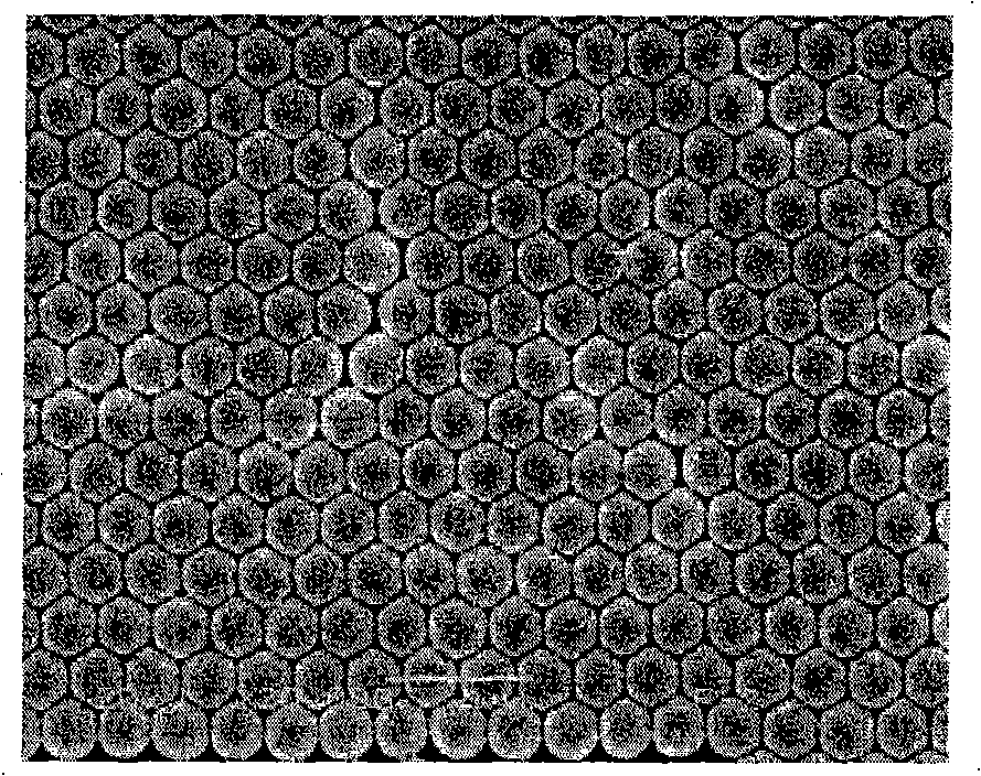 Method for detecting staphylococcus aureus enterotoxin by nanostructured composite metal