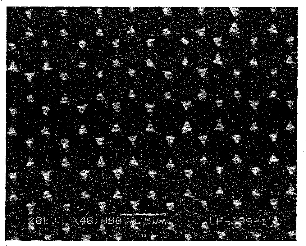 Method for detecting staphylococcus aureus enterotoxin by nanostructured composite metal