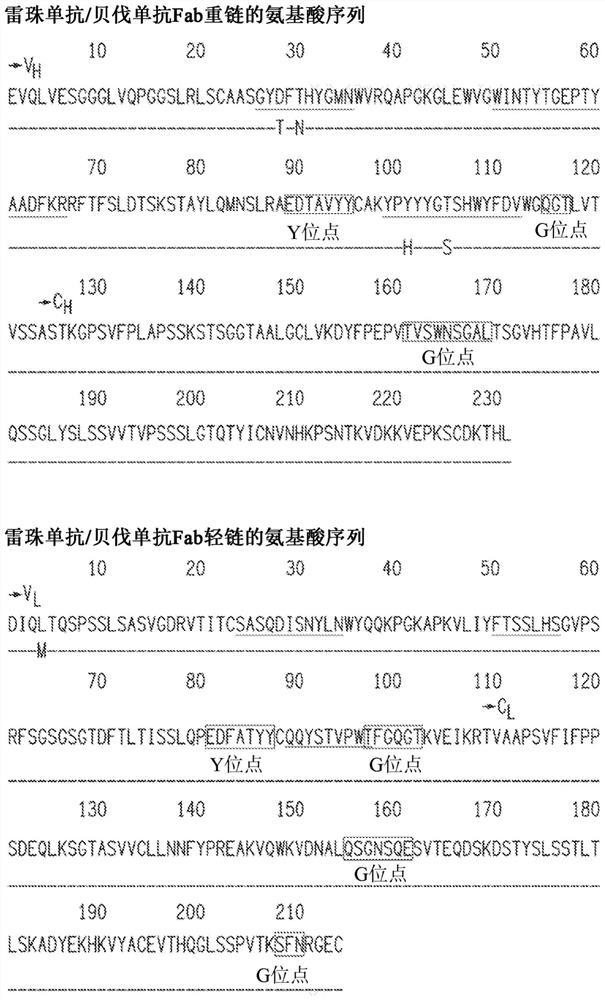 Treatment of diabetic retinopathy with whole human post-translationally modified anti-VEGF Fab