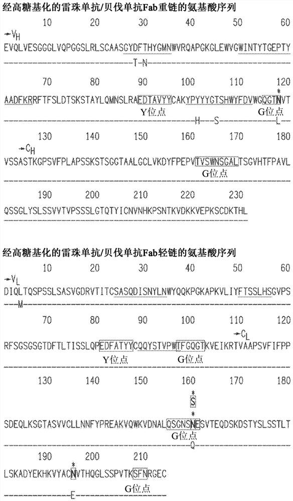 Treatment of diabetic retinopathy with whole human post-translationally modified anti-VEGF Fab