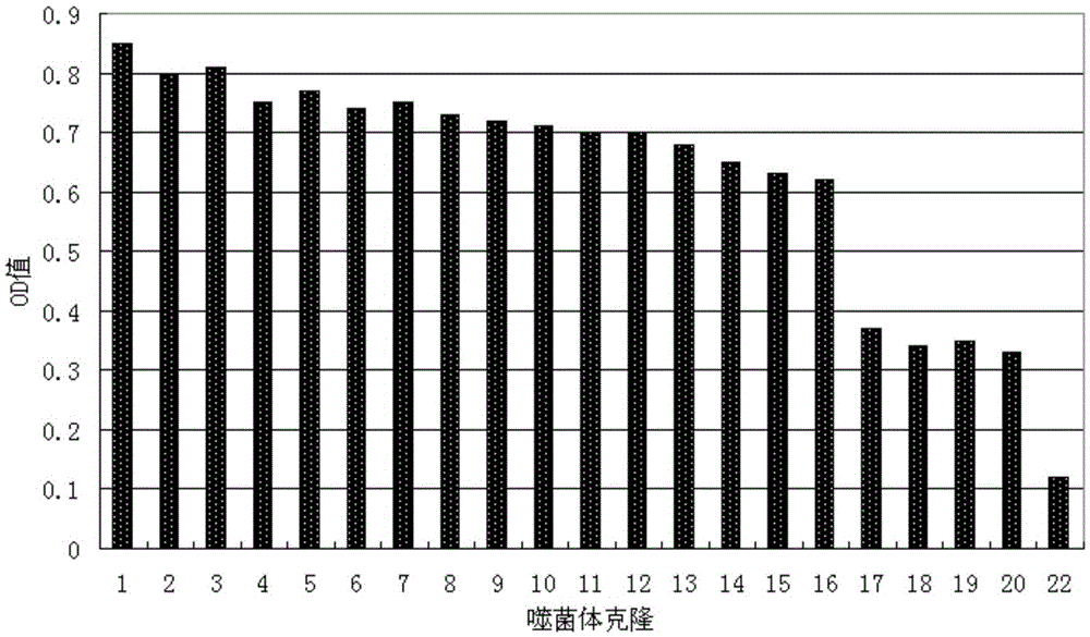 Short-chain polypeptides PCP9 capable of being specifically bound to prostate cancer cells and application of short-chain polypeptides PCP9