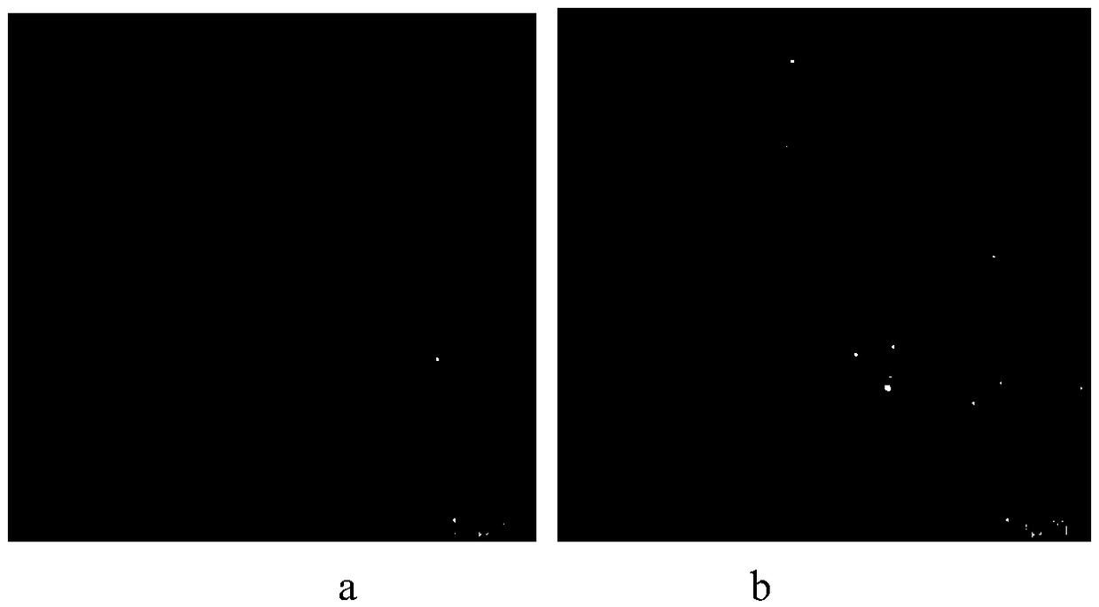 Fluorescent probe and application thereof