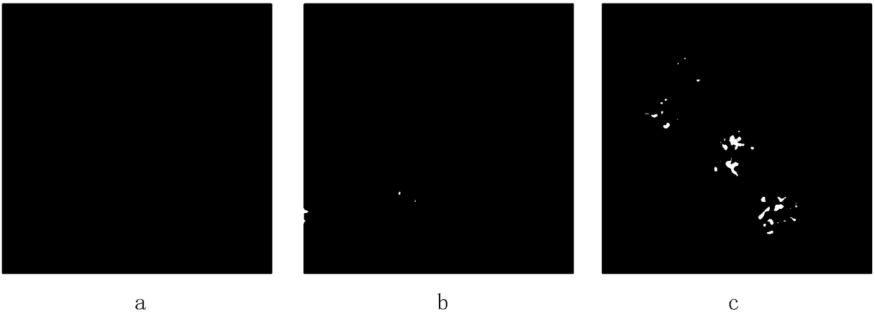 Fluorescent probe and application thereof