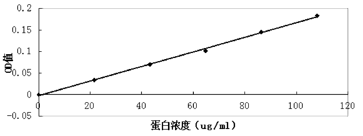 Internal heat reducing and inflammation diminishing chili sauce