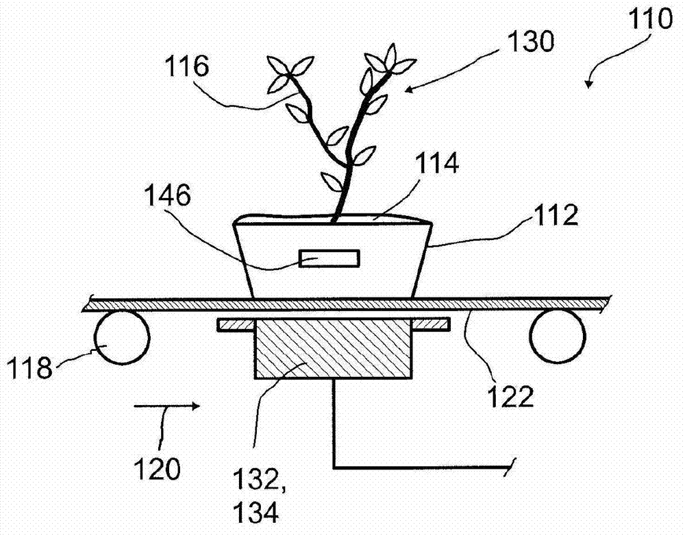 System for monitoring growth conditions of plants