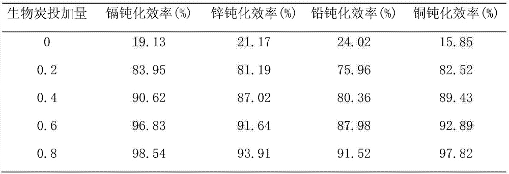 Preparation method of sludge and kitchen waste biochar soil heavy metal passivator