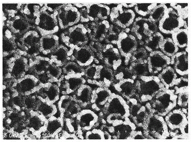 Preparing method of titanium-based material surface composite antibacterial coating