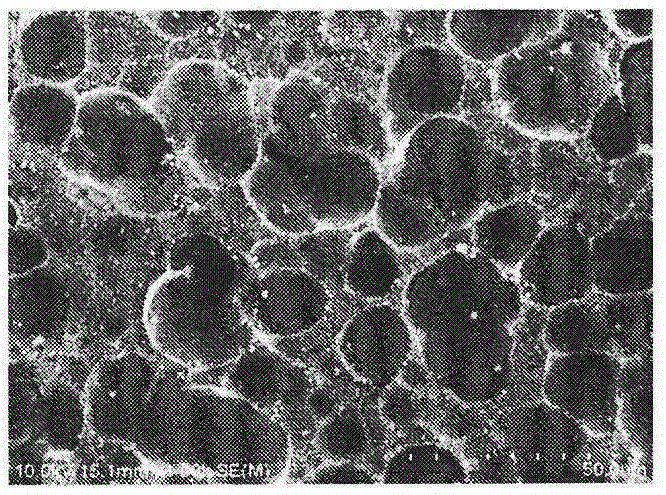 Preparing method of titanium-based material surface composite antibacterial coating