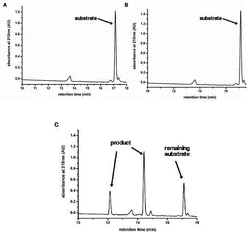 Structure and application of Enterovirus 71 3C protease