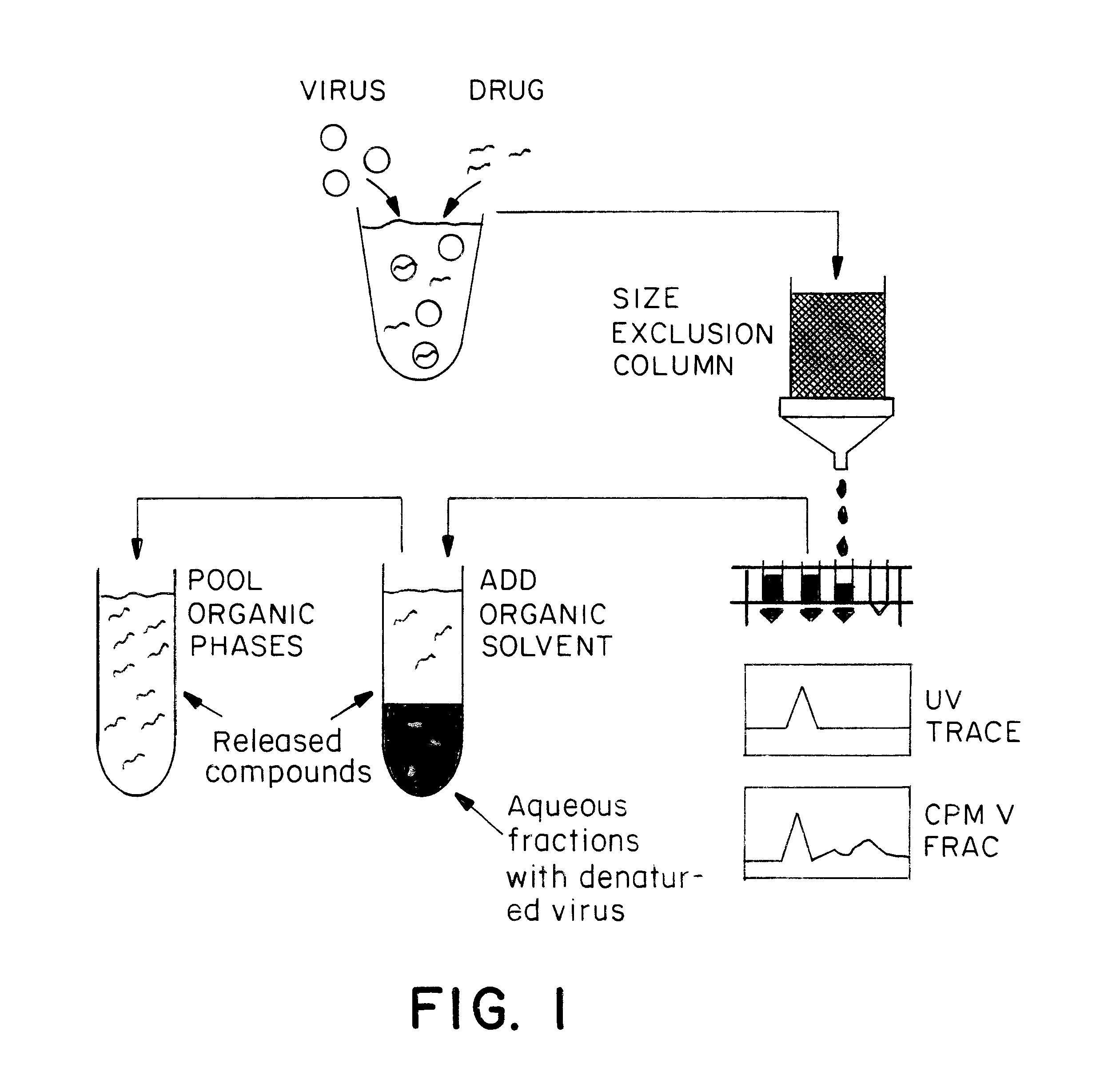 Method for identifying new anti-picornaviral compounds