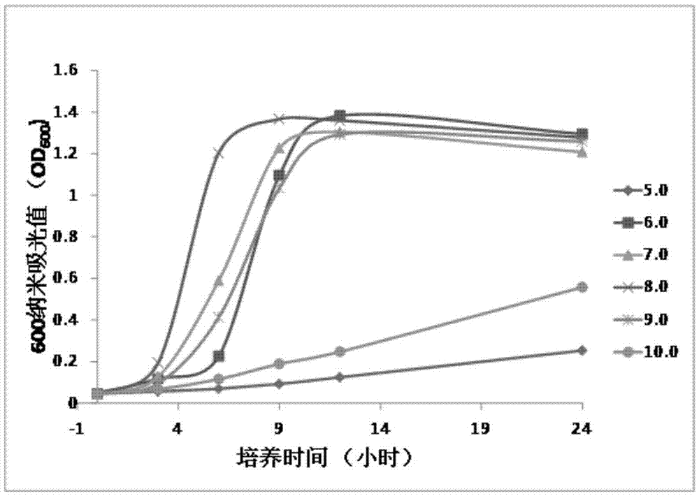 Heterotrophic nitrifying aerobic denitrifying Acinetobacter and applications thereof