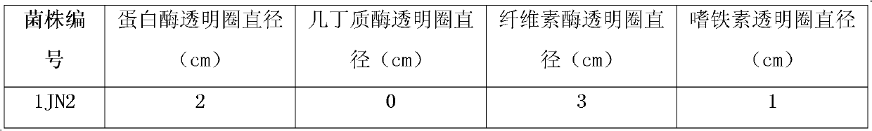 Bio-control bacteria strain 1JN2 for preventing and treating bacterial fruit blotches of watermelons and application thereof