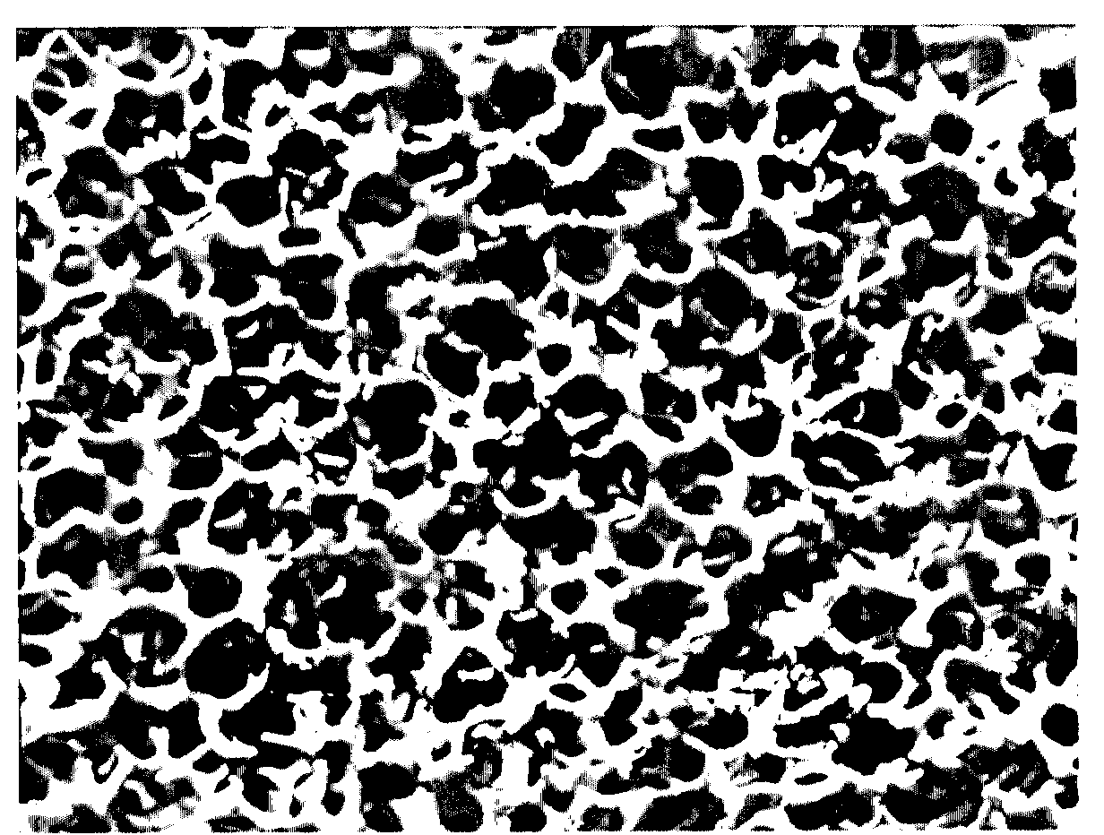 Porous ceramic lamp holder and preparation method thereof