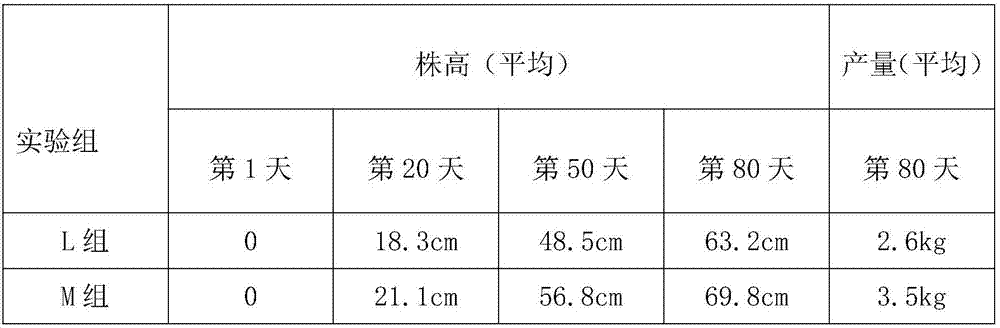 Compound microbial fertilizer