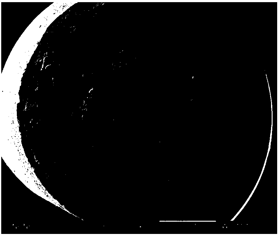 Silver-based contact material with high fusion welding resistance and preparation method of silver-based contact material