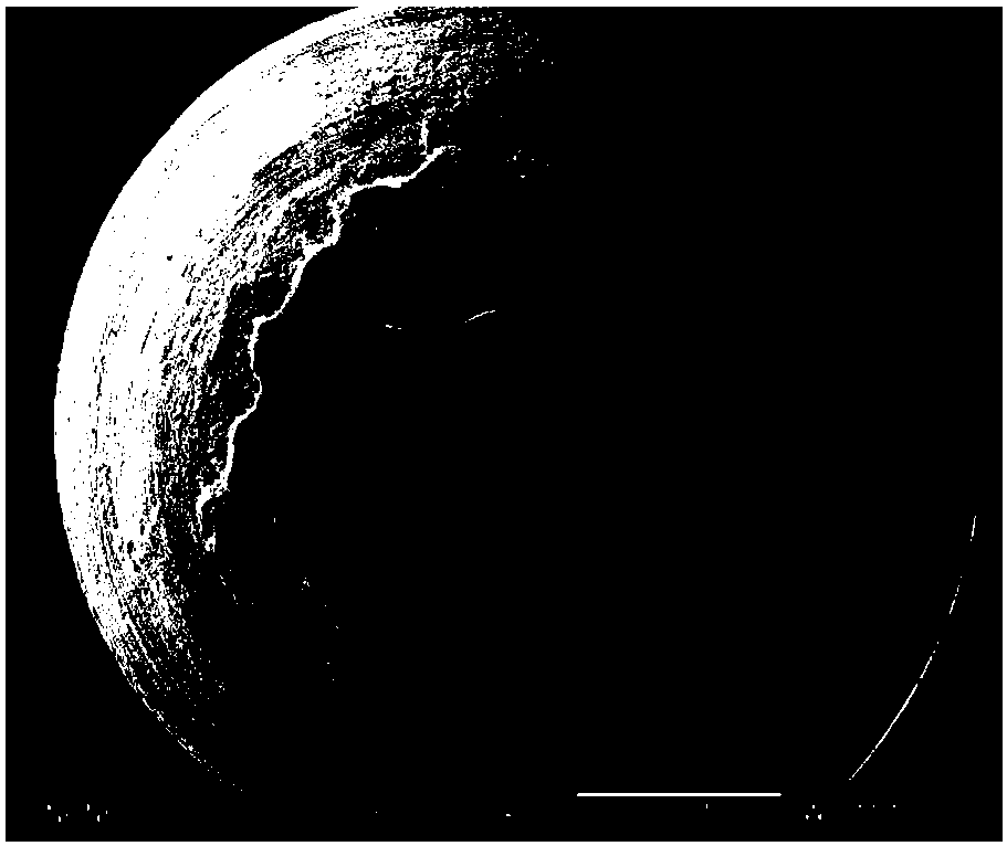 Silver-based contact material with high fusion welding resistance and preparation method of silver-based contact material