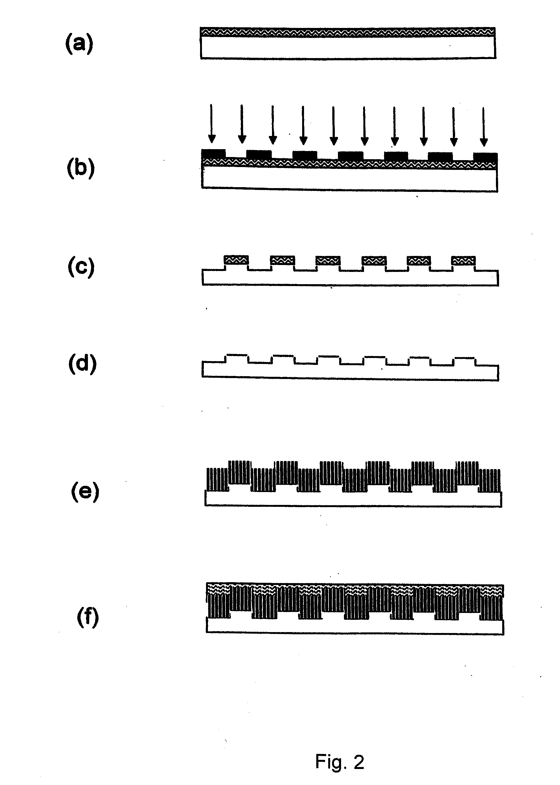 Method of fabricating electrode catalyst layers with directionally oriented carbon support for proton exchange membrane fuel cell