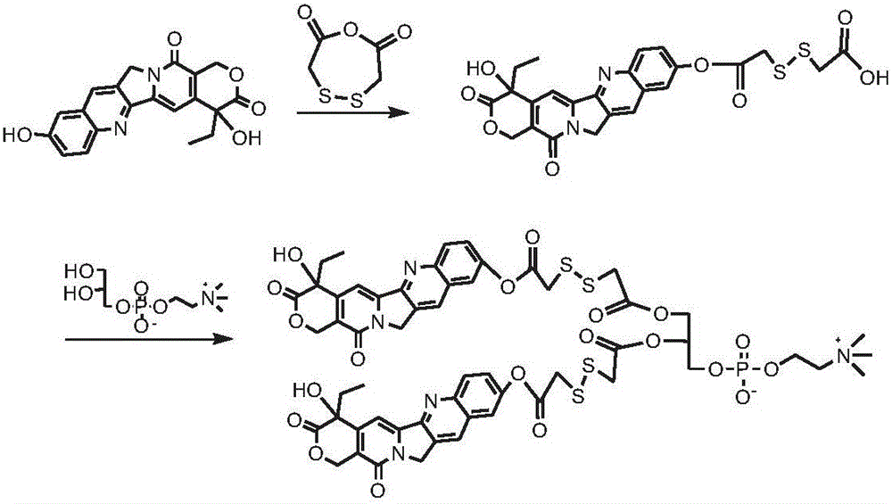 Camptothecin phospholipid compound, drug composition and application thereof