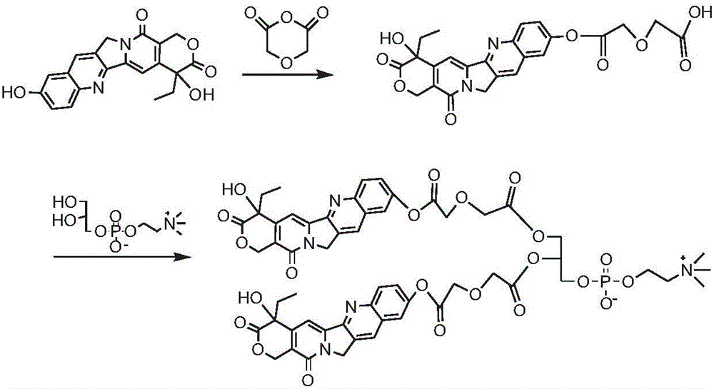 Camptothecin phospholipid compound, drug composition and application thereof