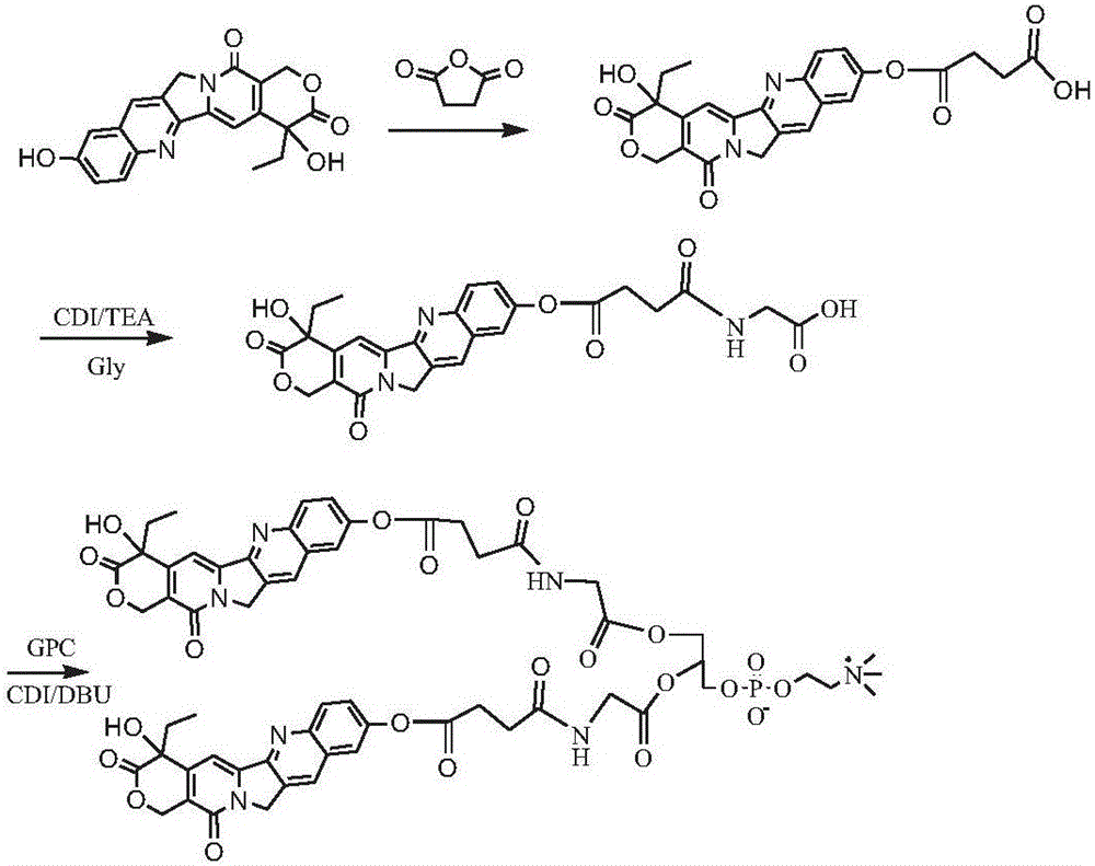 Camptothecin phospholipid compound, drug composition and application thereof