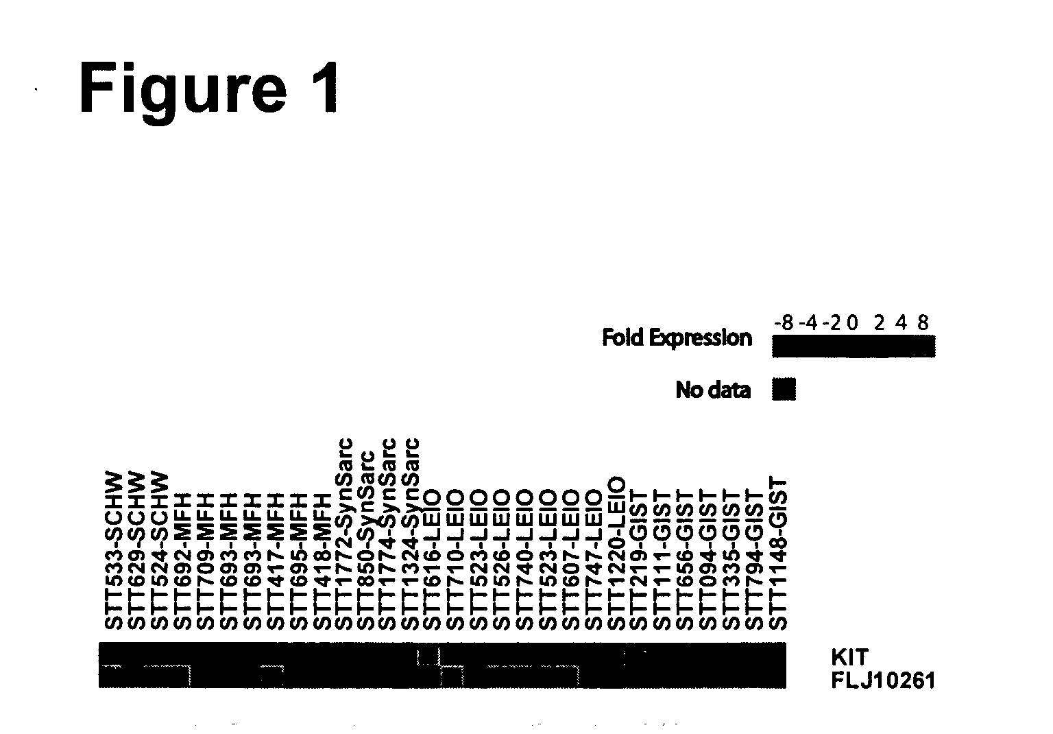 Tumor markers and uses thereof