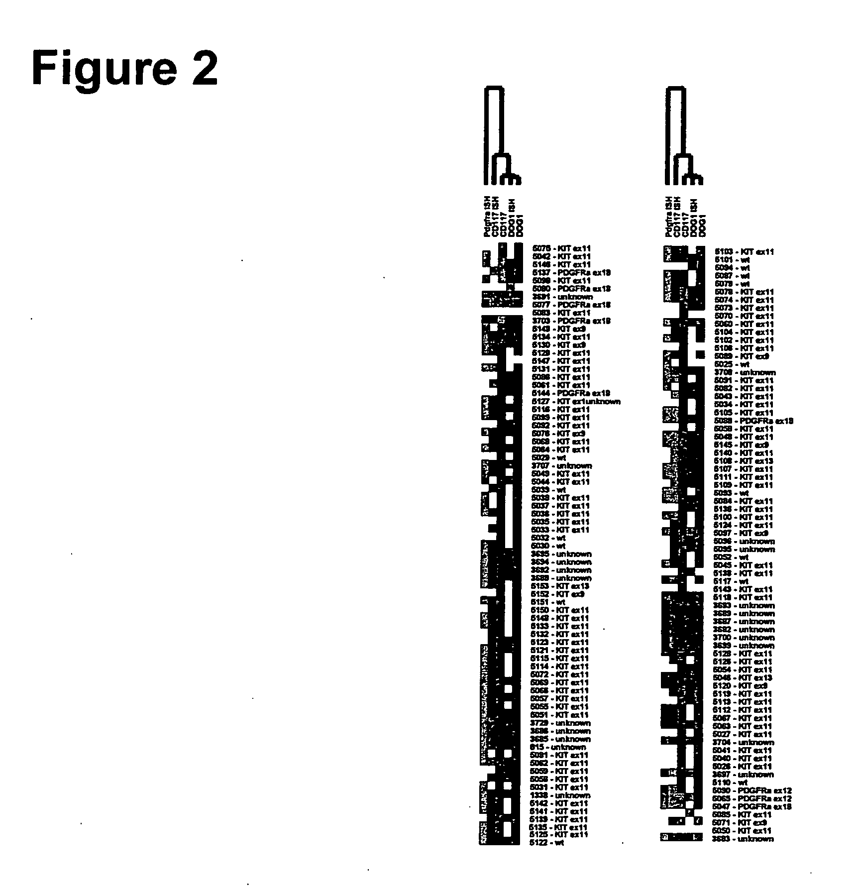 Tumor markers and uses thereof