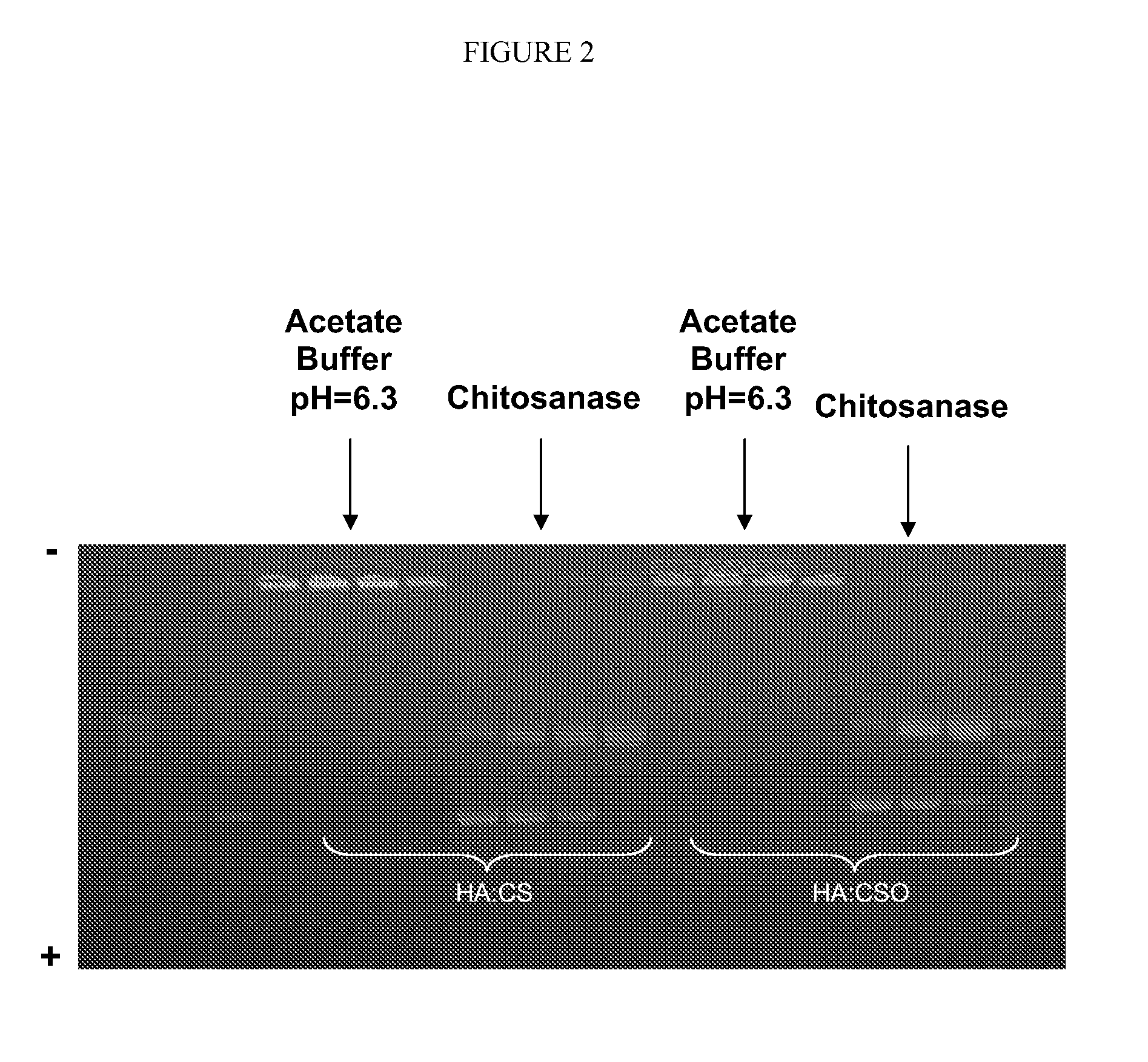 Nanoparticles of chitosan and hyaluronan for the administration of active molecules