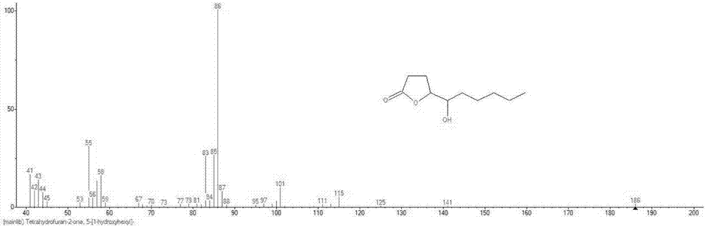 Bacterial strain for producing 5-hydroxyl-4-decalactone and application of bacterial strain