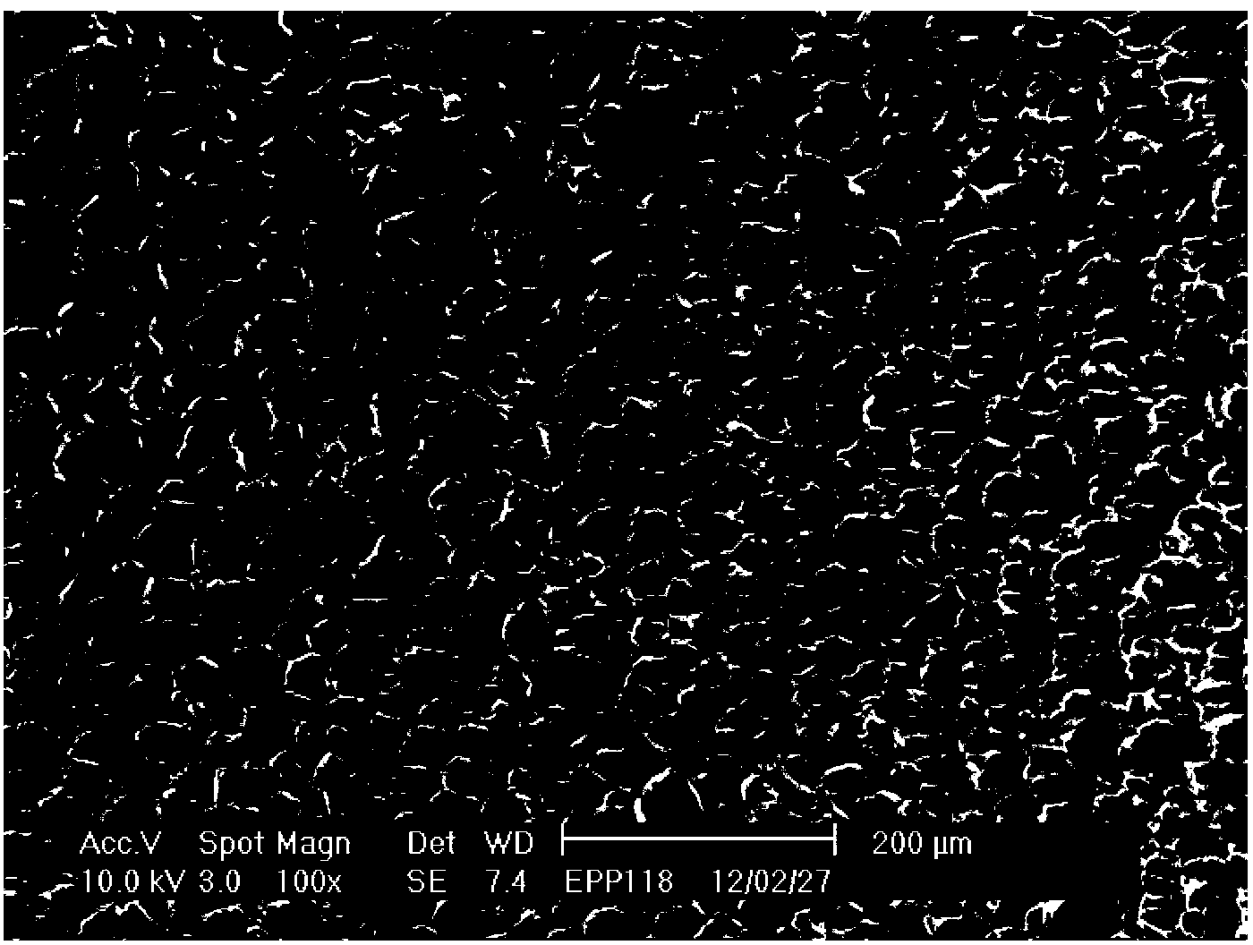 Propylene-ethylene high-melt-strength polypropylene foamed bead and preparation method thereof