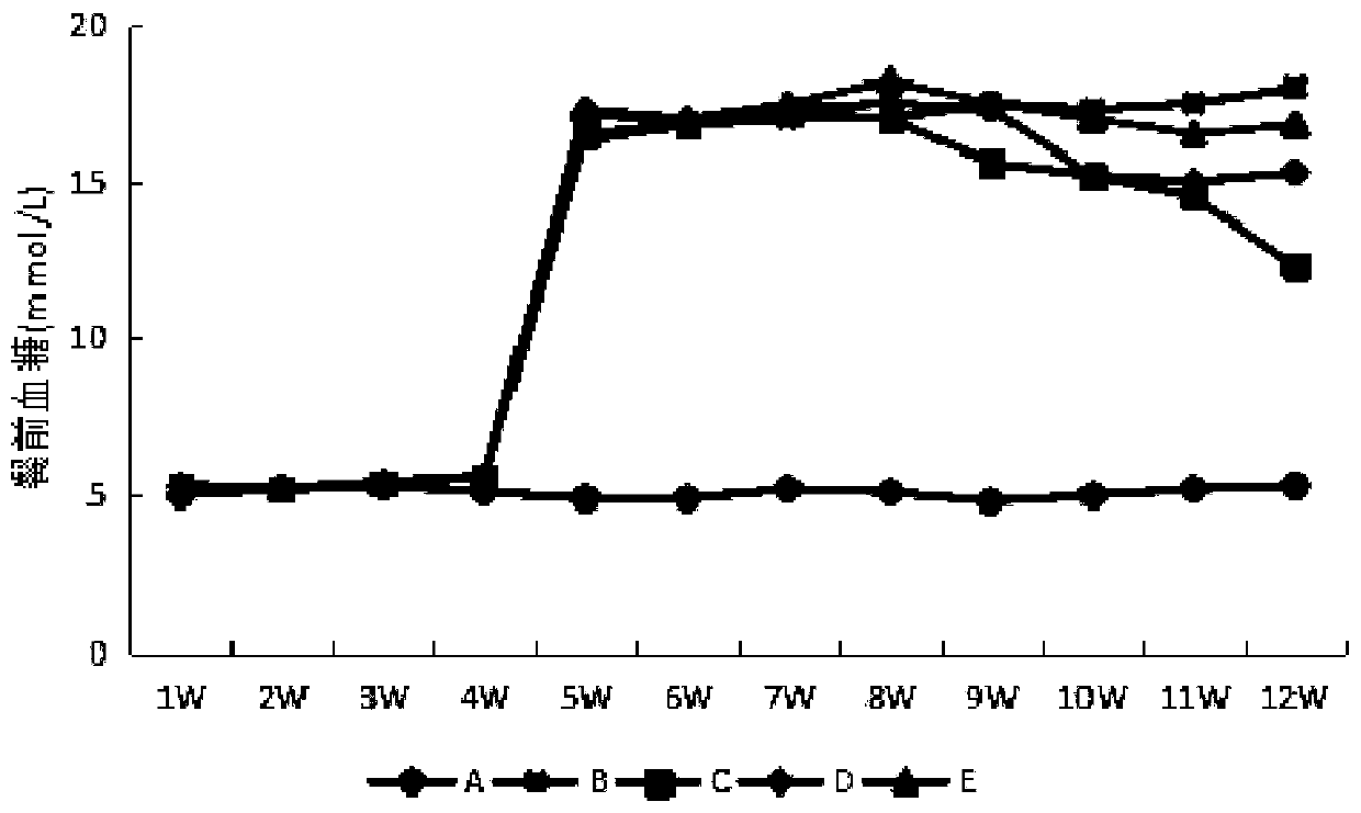 Lactobacillus paracasei and application thereof