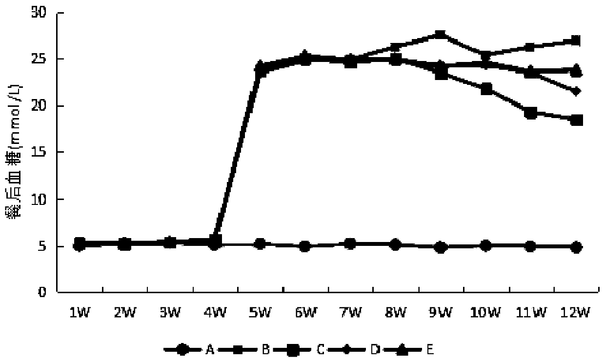 Lactobacillus paracasei and application thereof