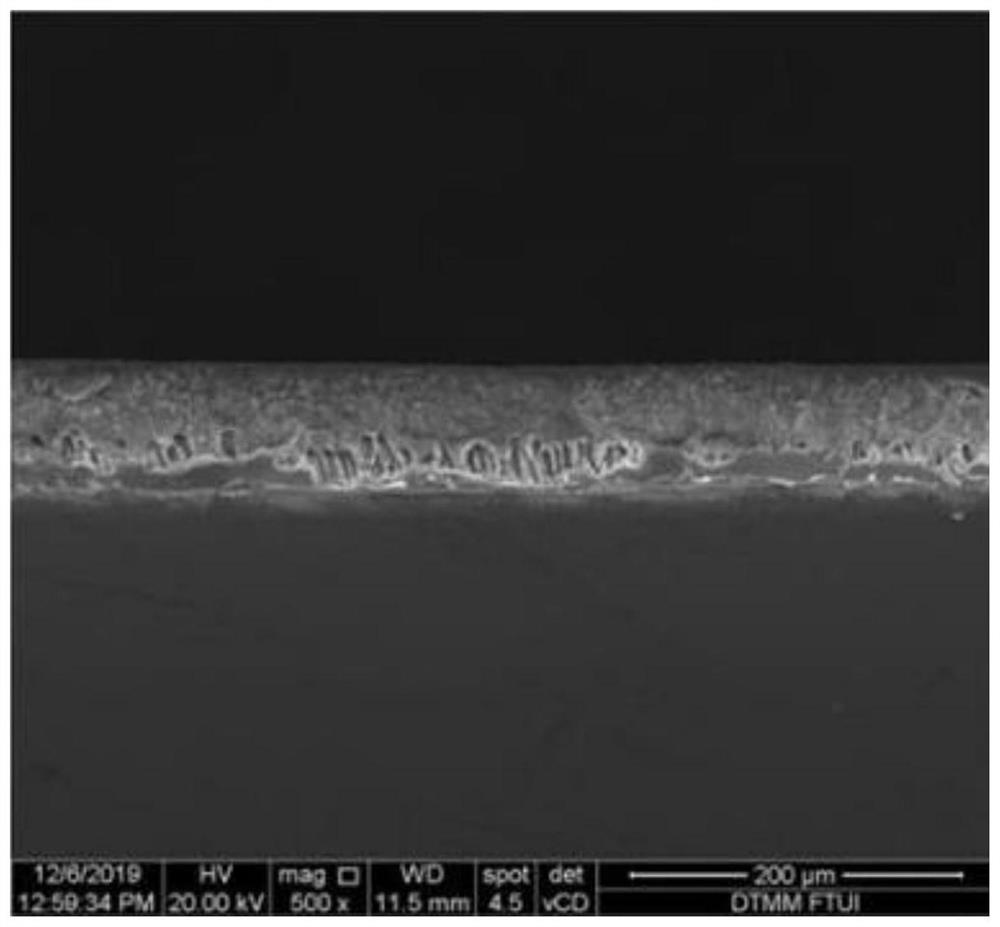 Preparation method of lithium battery diaphragm adopting VDF polymer water-based coating liquid