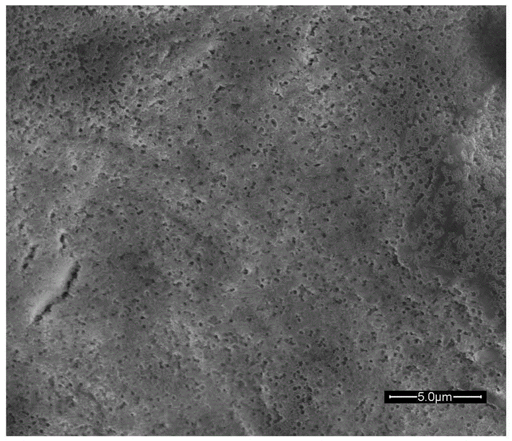 Superhydrophobic coating, superhydrophobic coating and preparation method of the superhydrophobic coating